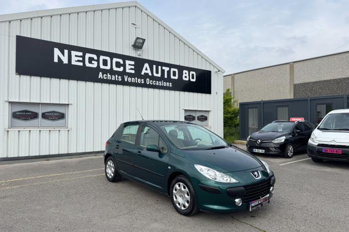 PEUGEOT 307